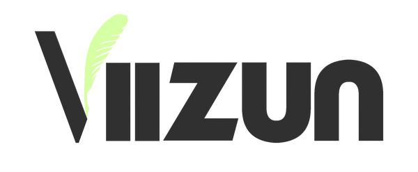 Viizun